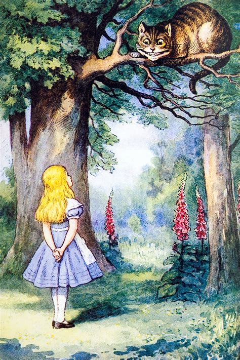 The Future Prospects for Alice Wonderland's Career and Financial Status