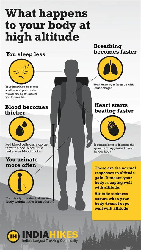 The Impact of Height and Physique on Image