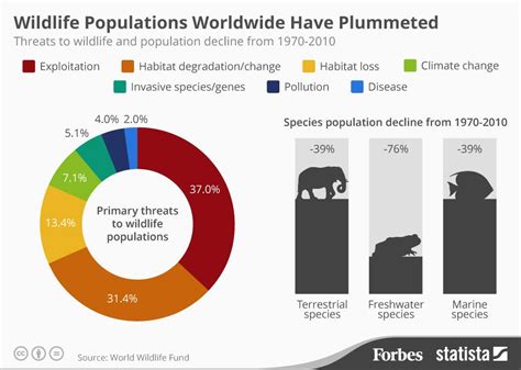 The Impact of Human Activities on the Indigenous Feline Population