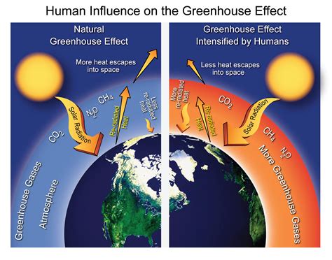 The Influence and Impact of a Phenomenon