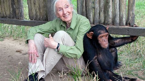 The Jane Goodall Institute: A Legacy of Conservation