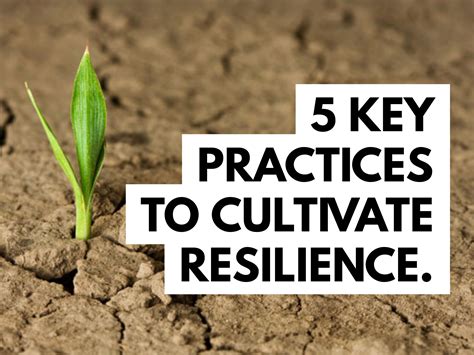 The Journey to Cultivating a Resilient and Inspiring Persona