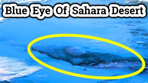 The Mystery Surrounding Sahara Blue's Age