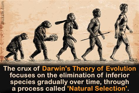 The Theory of Natural Selection: Darwin's Revolutionary Contribution to Science