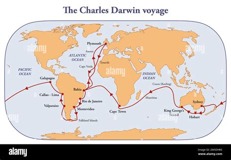 The Voyage of the Beagle: Darwin's Transformative Journey