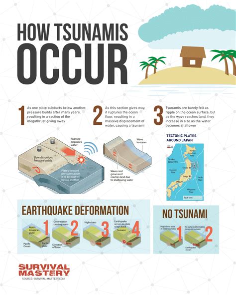 Tragic Moment: The Tsunami and Survival