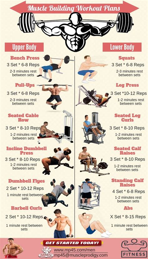 Training Methods and Workout Routine