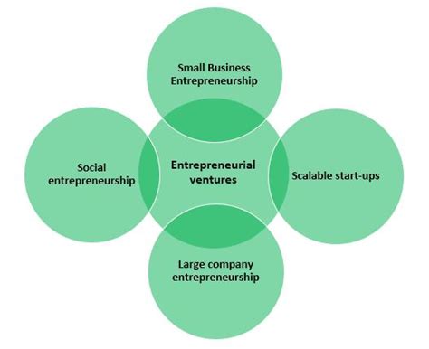 Transition into Entrepreneurship and Business Ventures
