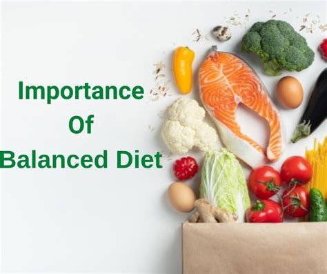 Understanding the Significance of a Well-balanced Diet