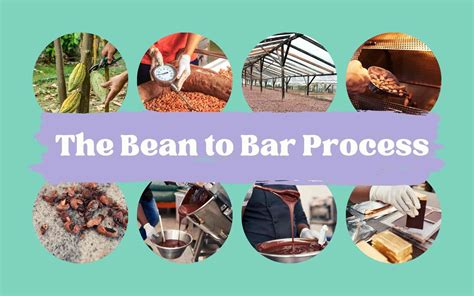 Unmasking the Intricate Process of Crafting Delicious Chocolate: From Bean to Bar