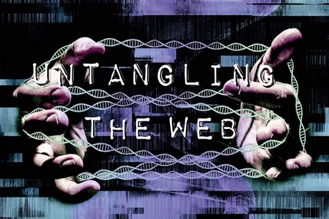 Untangling the Web: Revealing the Financial Success of Mary C Ines