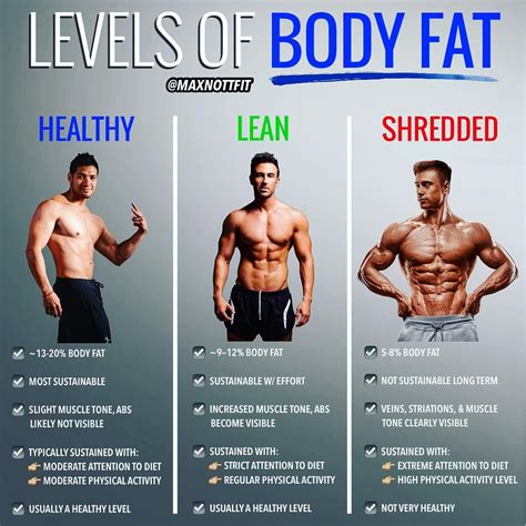 Unveiling the Secrets to Maintaining an Enviably Toned Physique