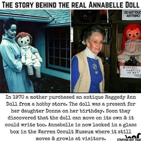 Who is Anna Belle? A Brief Biography